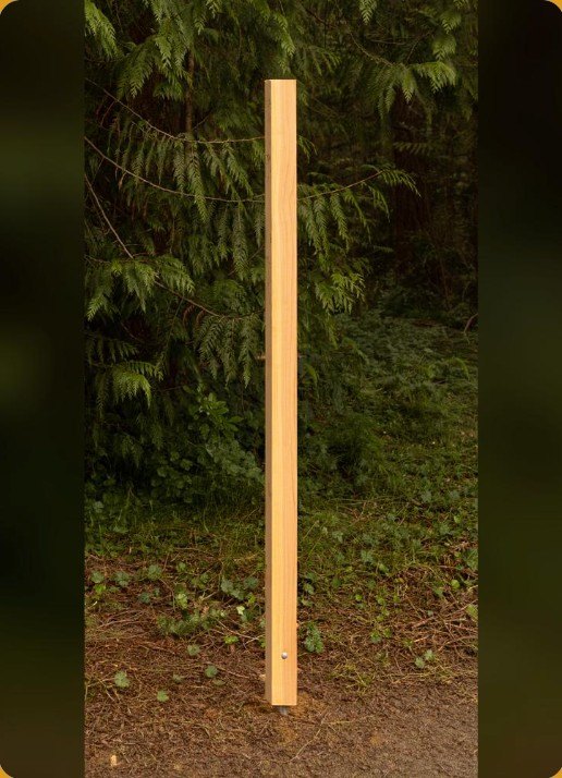 A single cedar post on pipe standing in a wooded yard